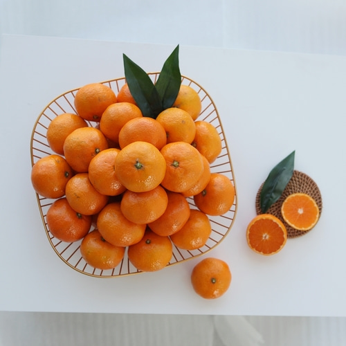 [초록자연] 정품 노지 감귤 5kg(로얄과) 제주 밀감
