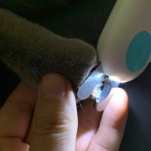 반려동물 LED 발톱깎이(블루)