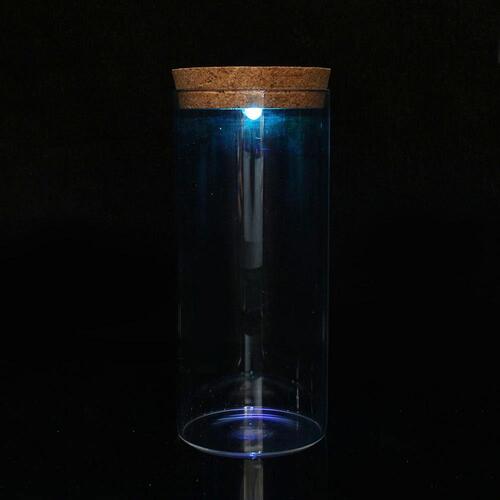 마리모 키우기 LED 유리병 수경식물키우기